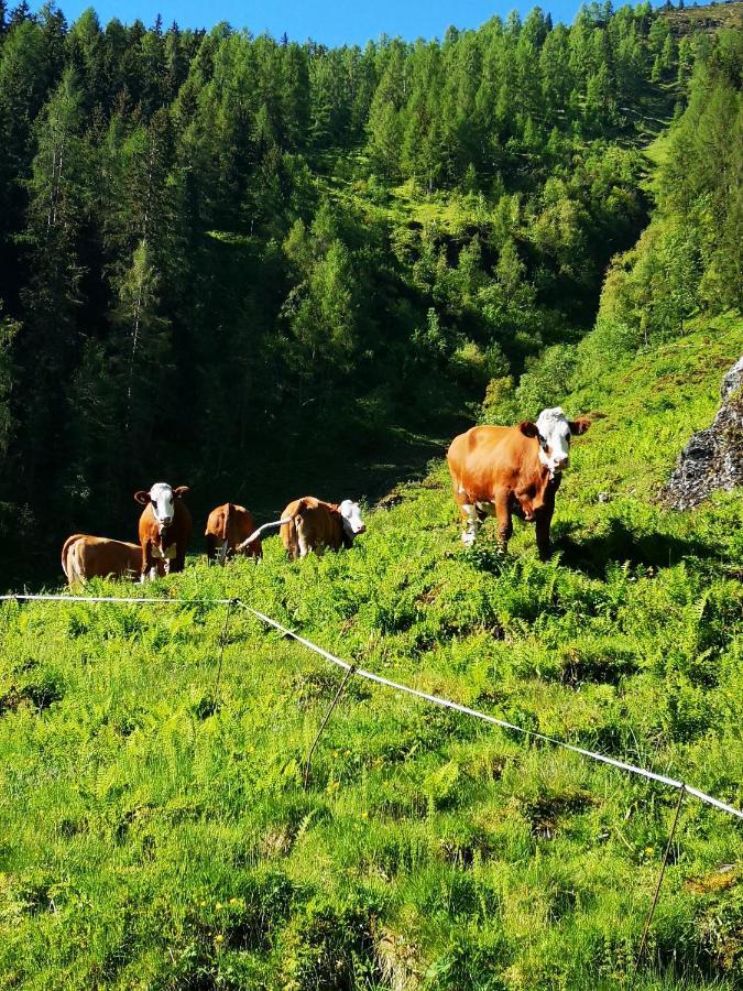 Ferienwohnung Bauernhof Obererlach Bramberg am Wildkogel Luaran gambar