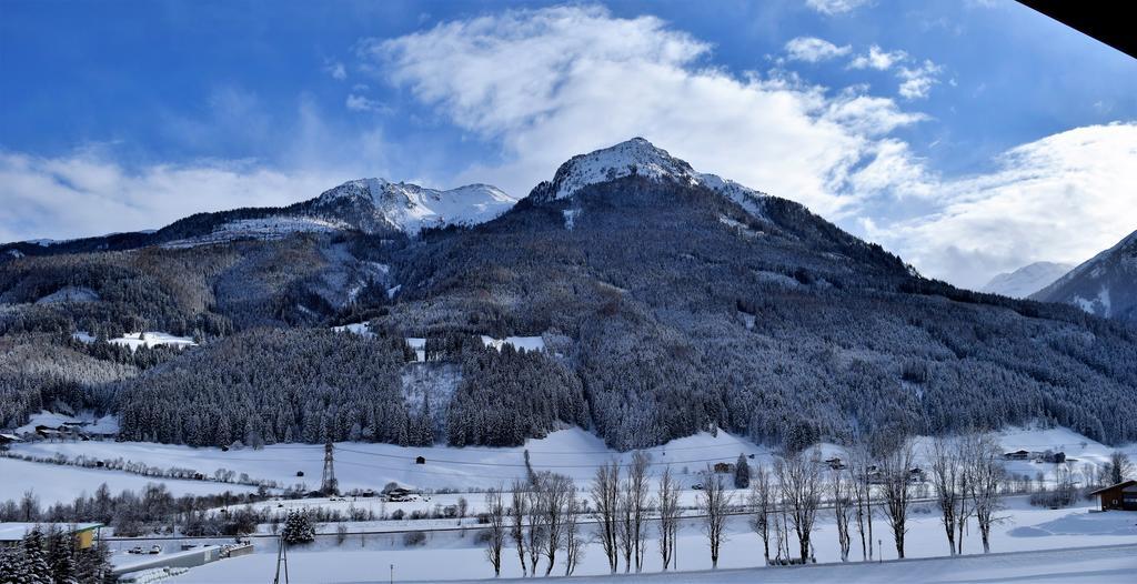 Ferienwohnung Bauernhof Obererlach Bramberg am Wildkogel Luaran gambar