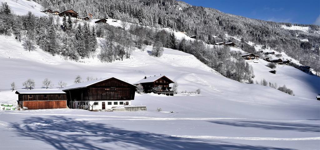 Ferienwohnung Bauernhof Obererlach Bramberg am Wildkogel Luaran gambar